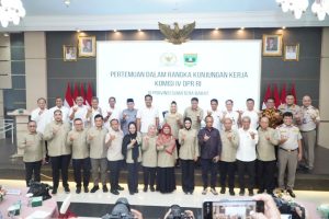Harga Beras Naik? Tenang, Stok Aman!