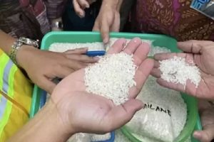 Skandal Beras Oplosan: DPR Desak Pemerintah Buka Nama!