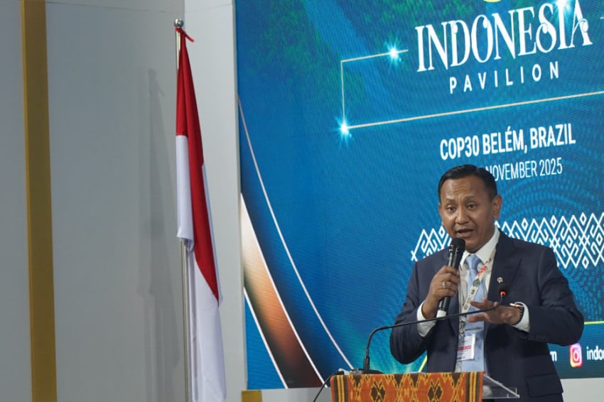 Karbon: Kemenhut Siapkan Jurus Baru Pengelolaan!