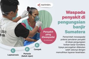 Banjir Sumatera: Ancaman Wabah Mengintai, Pemerintah Diuji!