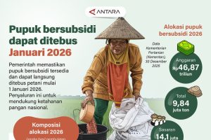 Era Baru Pertanian: Pupuk Subsidi Hadir 2026!