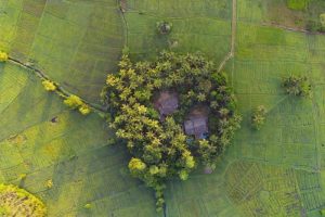 Pupuk Harapan: Petani Sri Lanka Penopang Negeri