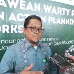 Babi Kutil Terancam Punah? Kemenhut Bergerak!