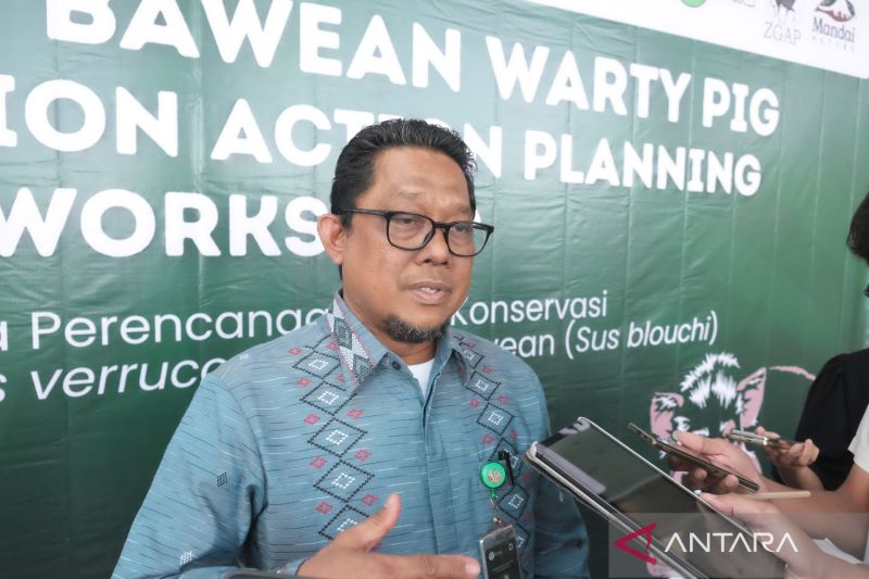 Babi Kutil Terancam Punah? Kemenhut Bergerak!