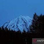 Jepang Membeku! Tokyo Berselimut Salju Tipis