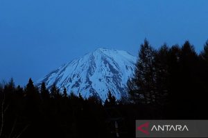Jepang Membeku! Tokyo Berselimut Salju Tipis
