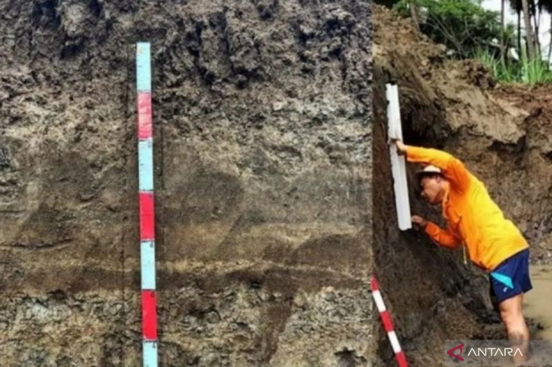 politica news 31 Tanah Tak Sekadar Lahan: Ilmuwan RI Ubah Paradigma!