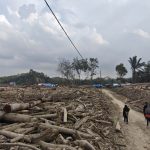 Banjir Landa, Warga Babo Banting Stir Jadi Buruh Kayu!