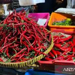 Harga Pedas! Cabai Meroket, Ayam Ikut Terbang?