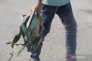 Iran Balas Dendam, AS dan Sekutu Murka!