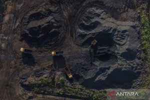 politica news 13 Investasi Mineral Kritis: Kunci Ada di Stabilitas Kebijakan!