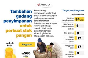 Amankan Pangan Nasional, Bulog Siapkan Rp5 Triliun!