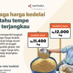 Kedelai Stabil, Tahu-Tempe Aman di Kantong?