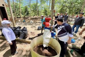 politica news 19 Limbah Jadi Berkah: Kalsel Selamatkan Hutan!