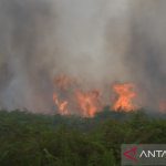 Horor Asap Selimuti Aceh Barat Lahan Terbakar