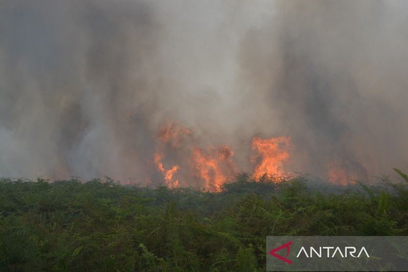 Horor Asap Selimuti Aceh Barat Lahan Terbakar