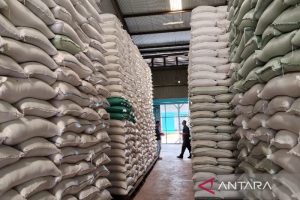 Sumut Kedatangan Beras Jumbo Jaminan Pangan