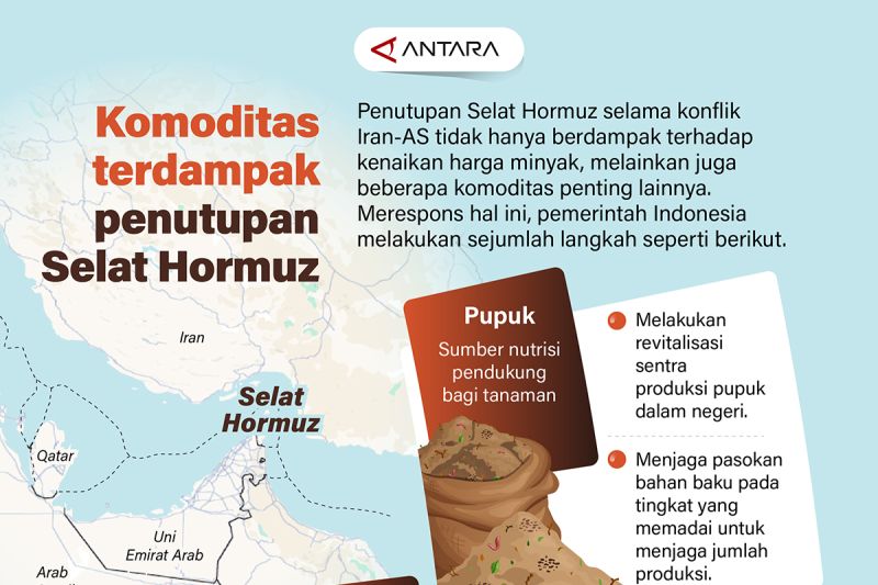 Krisis Hormuz Picu Gejolak Harga, RI Siapkan Jurus Jitu!