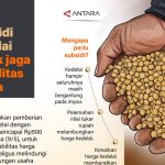 Pemerintah Gelontorkan Rp500 Miliar Selamatkan Pangan