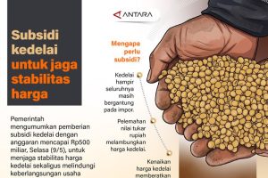 Pemerintah Gelontorkan Rp500 Miliar Selamatkan Pangan