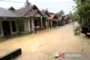 politica news 6 Air Bah Kepung Aceh Barat Warga Bertahan