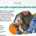 Rabies Mengintai Nyawa Anda Lakukan Ini Sekarang Juga