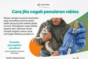 Rabies Mengintai Nyawa Anda Lakukan Ini Sekarang Juga