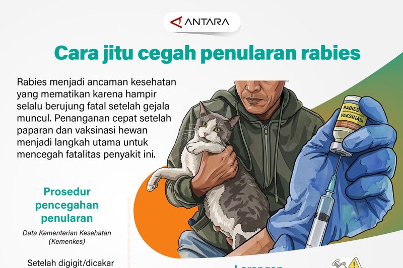 Rabies Mengintai Nyawa Anda Lakukan Ini Sekarang Juga