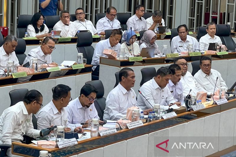 Anggaran Kementan Melonjak Demi Swasembada Pangan