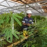 MIND ID Bikin Kejutan Lingkungan Demi Masa Depan