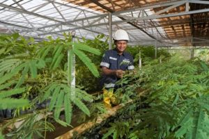 MIND ID Bikin Kejutan Lingkungan Demi Masa Depan