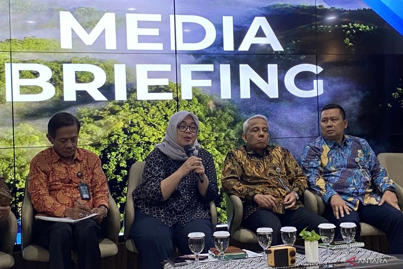 Terungkap Potensi Hutan Bikin Cuan 10 Kali Lipat