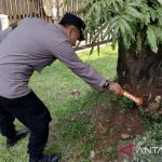 TMII Gempar Benda Diduga Mortir Ditemukan