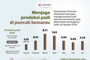 Jurus Rahasia Kementan Jaga Padi Saat Kemarau