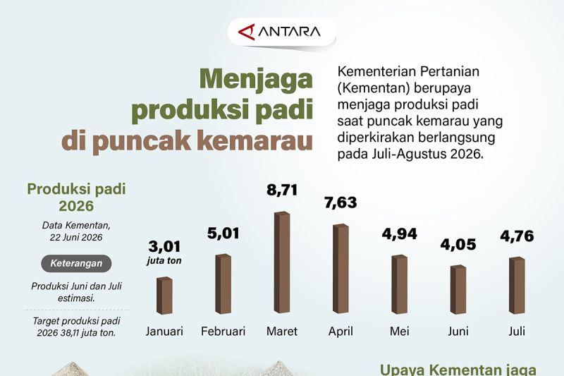 Jurus Rahasia Kementan Jaga Padi Saat Kemarau