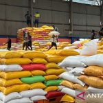 RI Berani Ekspor Beras Narasi Importir Tamat
