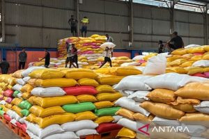 politica news 7 RI Berani Ekspor Beras Narasi Importir Tamat