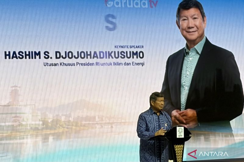 politica news 4 Hashim Ungkap Terobosan Besar Iklim Ekonomi Hijau