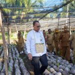 Rahasia Besar Kementan Bikin Nabire Kaya Raya