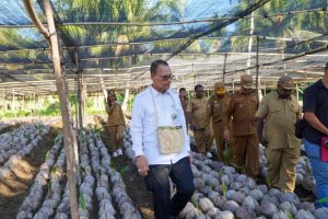 Rahasia Besar Kementan Bikin Nabire Kaya Raya
