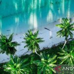 Peluang Emas Agrobisnis Pesisir Berau