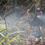 Waspada Udara Sumbar Anjlok Cepat Wajib Masker