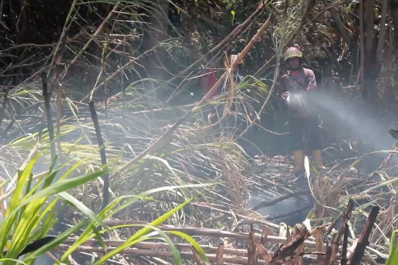 Waspada Udara Sumbar Anjlok Cepat Wajib Masker