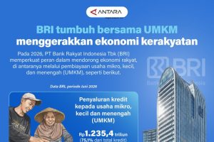 politica news 12 BRI Bikin Ekonomi Rakyat Meroket Lewat UMKM