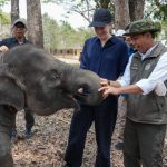 Menhut Ungkap Taktik Jitu Selamatkan Hutan Satwa