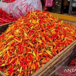 Harga Pangan Meroket Waspada Kebutuhan Dapur