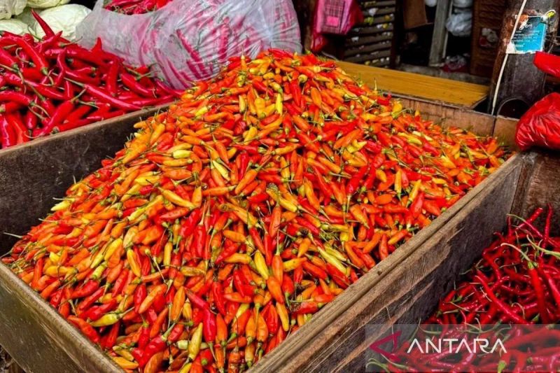 Harga Pangan Meroket Waspada Kebutuhan Dapur