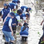 Pantai Bahak Bersemi Aksi SIG BUMN Menggemparkan