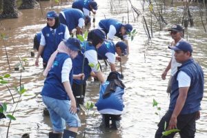 politica news 18 Pantai Bahak Bersemi Aksi SIG BUMN Menggemparkan