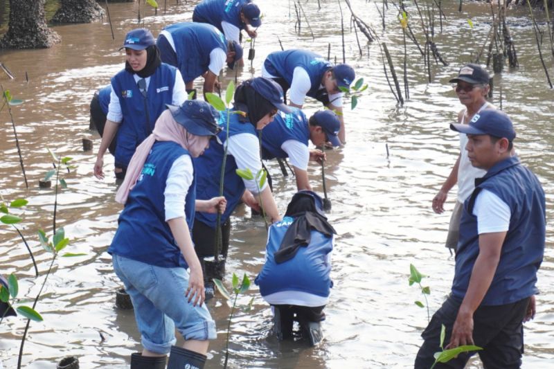 Pantai Bahak Bersemi Aksi SIG BUMN Menggemparkan 1 Pantai Bahak Bersemi Aksi SIG BUMN Menggemparkan